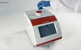 Qpcr 实验步骤