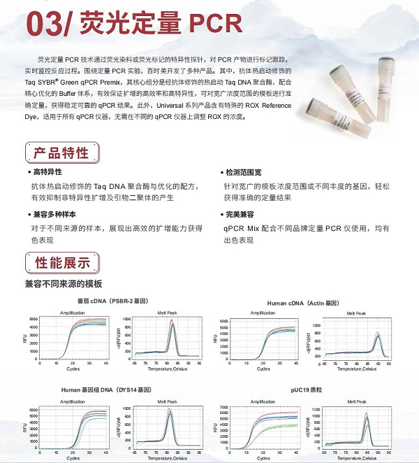 荧光PCR试剂