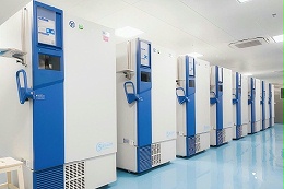 变频双系统-40~-86℃超低温冰箱 科研医学专用冷冻储存箱