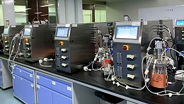 细胞生物反应器选型全攻略：生物制药工艺放大中的关键考量
