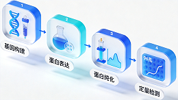 AI蛋白设计湿实验验证需要哪些仪器_从表达纯化到亲和力检测设备清单