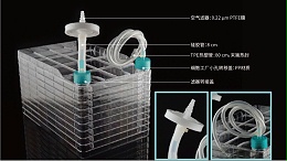 人工智能预测蛋白质结构：开启生物学研究的新时代