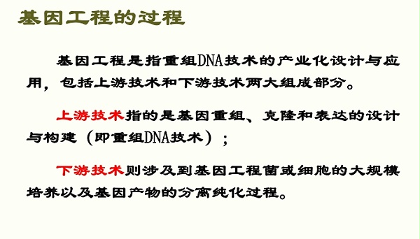 基因工程概念