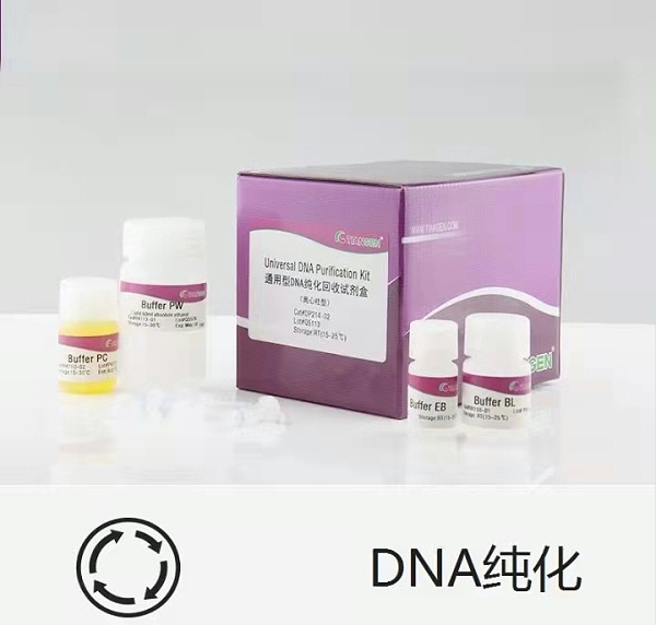 DNA纯化试剂盒