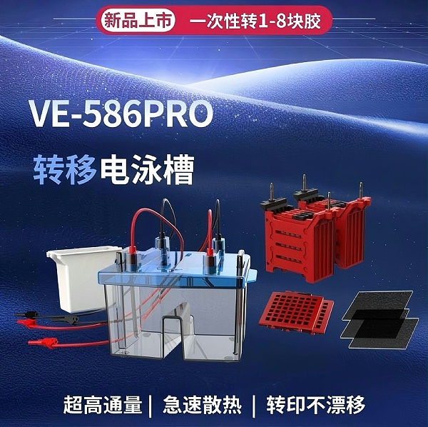 蛋白电泳仪器