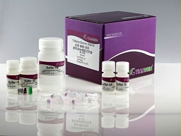 天根 DP304 血液/细胞/组织基因组DNA提取试剂盒