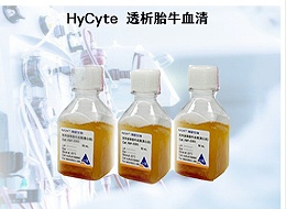 生物实验室血清选型实战指南：从血清等级到批次验证的全流程技术方案