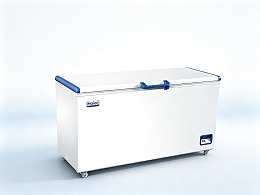 -60℃低温保存箱|商用超低温冰柜 海鲜深冷存储专业设备