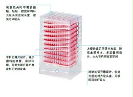 移液吸头